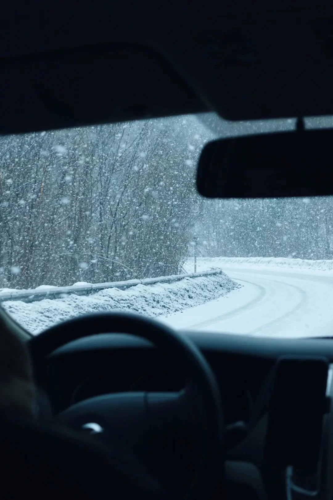 △从二道白河到雪岭，开车需要一个小时。/作者供图