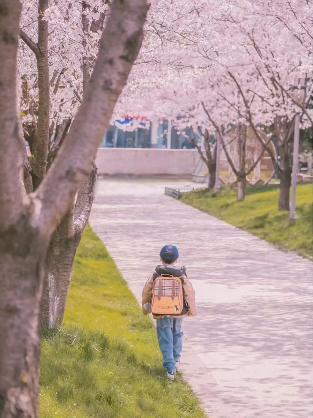 小红书@ 又又小天下