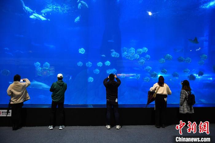 海外华文媒体代表参访马洋溪生态旅游区天柱山欢乐大世界。　吕明 摄