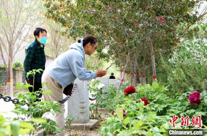 市民在梨香园赏牡丹。　马丽娟 摄