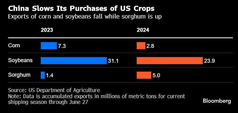 外媒：中国签下年度首笔美国大豆订单，比去年晚了约七个月